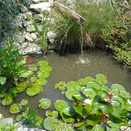 Pensiune Amazonka Varna