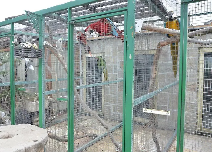 招待所 Amazonka *