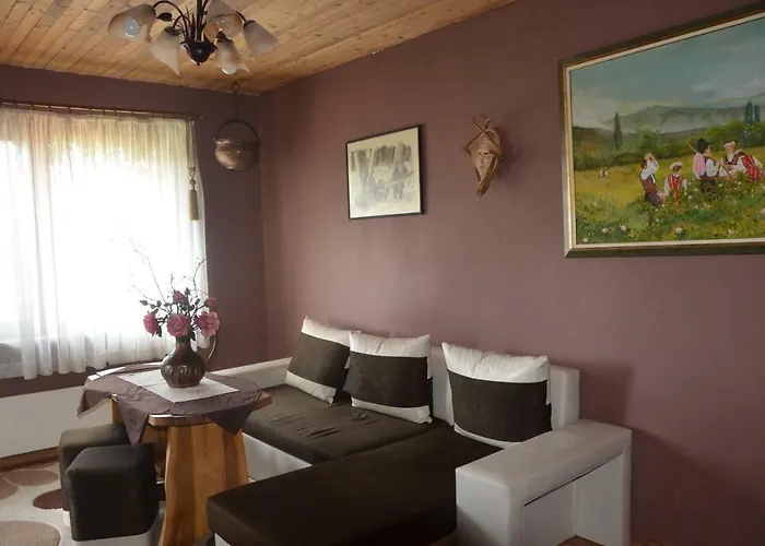 招待所 Amazonka *