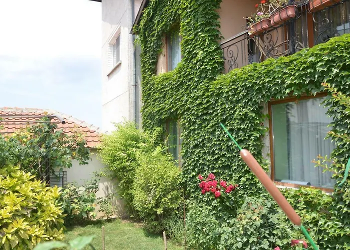 招待所 Amazonka *