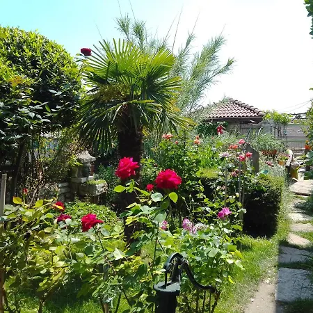 Guest Amazonka * Varna
