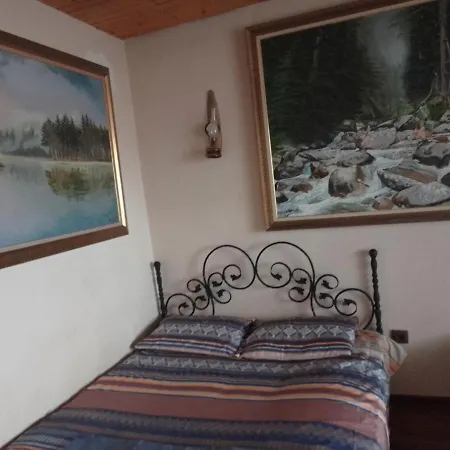 Guest house Amazonia *