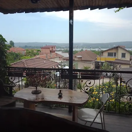 Guest house Amazonia