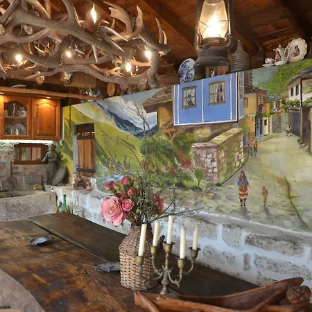 Amazonia Guest house