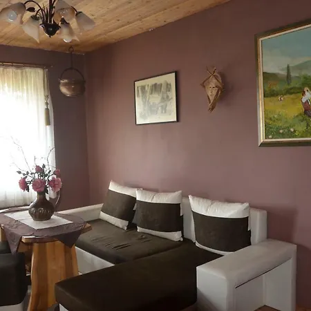 Guest house Amazonia *