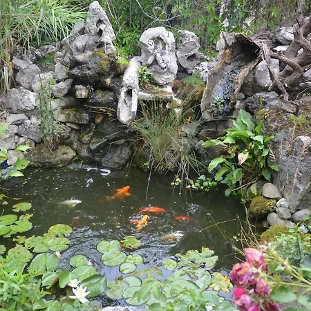 Amazonka Gasthof Warna