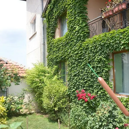 Guest house Guest Amazonka *