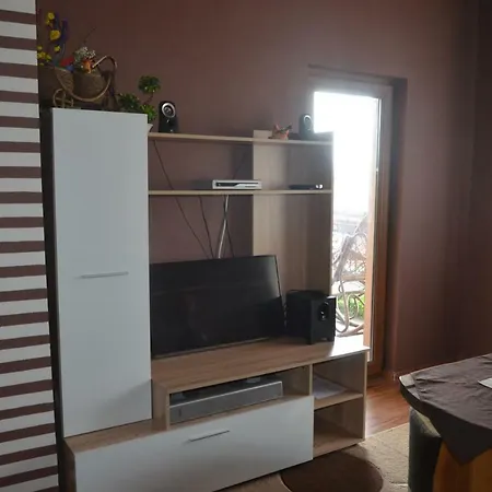 Guest house Amazonia
