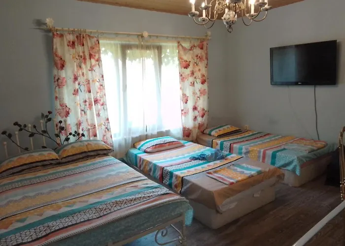 Amazonka * וארנה