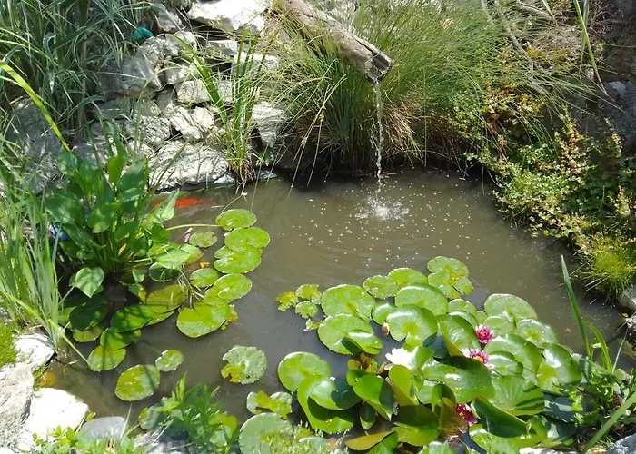 בית הארחה Amazonka וארנה