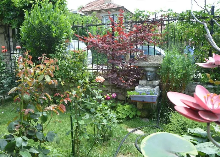 Amazonka * וארנה