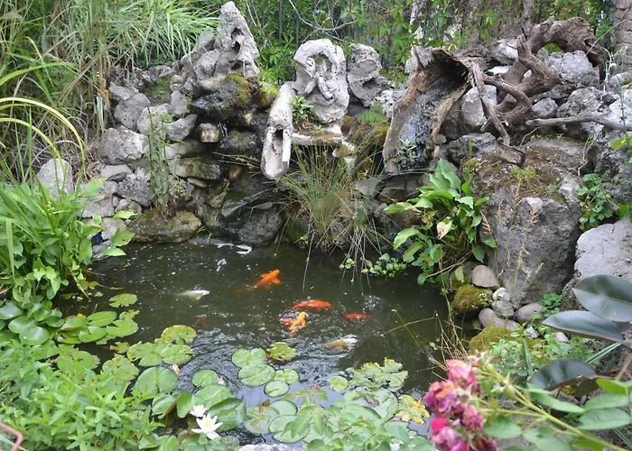 Amazonka בית הארחה וארנה